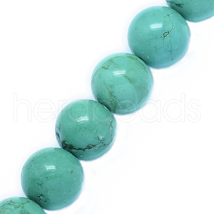 Natural Howlite Beads Strands TURQ-P027-32-12mm-1