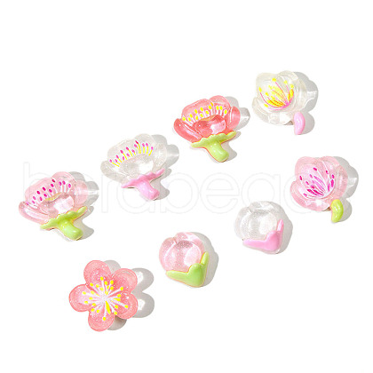 Translucent Resin Cabochons RESI-F045-01-1