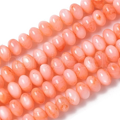 Natural Freshwater Shell Beads Strands SSHEL-C013-07A-1