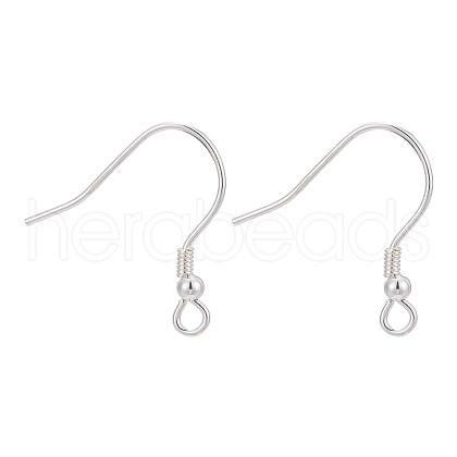 925 Sterling Silver Earring Hooks STER-M031-02S-1