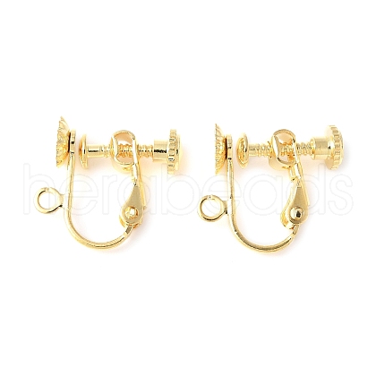 316 Surgical Stainless Steel Clip-on Earring Findings STAS-Z127-02G-1