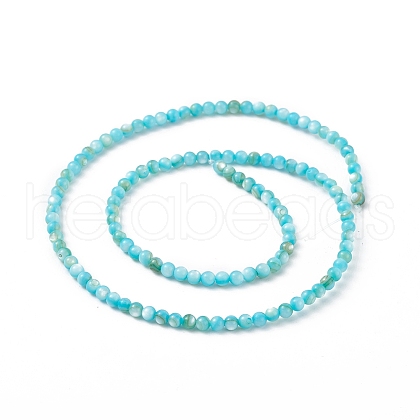 125Pcs Natural Freshwater Shell Beads SHEL-B002-01E-1