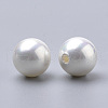 Shell Pearl Beads BSHE-T008-5mm-2