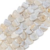 Natural Blue Lace Agate Beads Strands G-NH0001-B02-01-2