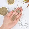 Ornaland 12/0 Round Glass Seed Beads SEED-OL0001-08A-02-2