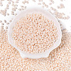 Opaque Colours Luster Glass Seed Beads SEED-T006-02H-1