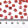 2-Hole Glass Seed Beads X-SEED-S031-L-ST125-2