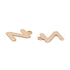 201 Stainless Steel Charms STAS-C021-06G-Z-2