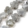 Natural Labradorite Beads Strands G-F769-P01-01-1