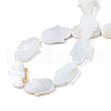 Natural Freshwater Shell Beads Strands SHEL-S278-02-A01-4