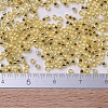 MIYUKI Delica Beads X-SEED-J020-DB0042-4