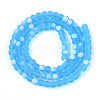 Frosted Transparent Glass Beads Strands GLAA-T032-T4mm-MBB06-2