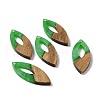 Resin & Walnut Wood Pendants RESI-N025-047-4