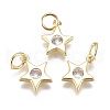 Brass Micro Pave Cubic Zirconia Charms X1-ZIRC-F111-09G-08-1