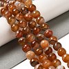 Natural Agate(Dyed & Heated) Beads Strands G-H066-B08-03-1
