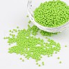 12/0 Grade A Glass Seed Beads X-SEED-Q009-FJX06-1