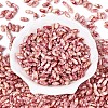 Baking Paint Glass Seed Beads SEED-N008-06C-2