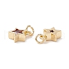 Brass Cubic Zirconia Charms FIND-Z005-02D-2