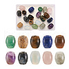 Craftdady 20Pcs 10 Style Natural & Synthetic Mixed Gemstone European Beads G-CD0001-06-1