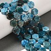 Natural Apatite Beads Strands G-P534-A02-01-2