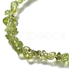 Natural Peridot Beads Strands G-E607-A06-3