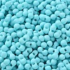 Rubberized Style Glass Seed Beads SEED-Z003-01D-3