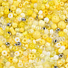 Glass Seed Beads SEED-N007-13B-3