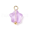 Glass Charms PALLOY-JF01731-2