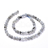 Natural Labradorite Beads Strands G-L538-011-3