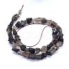 Raw Rough Natural Smoky Quartz Beads Strands G-I279-B15-2