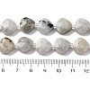 Natural Labradorite Beads Strands G-P570-E18-02-5