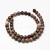 Natural Rainforest Agate Round Bead Strands G-P075-45-6mm-2
