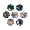 Natural Paua Shell Disc Charms SHEL-ZX010-06-A-1