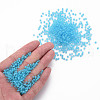 8/0 Transparent Glass Seed Beads SEED-S048-P-004-5