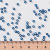 MIYUKI Round Rocailles Beads X-SEED-G008-RR0648-2