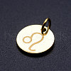 201 Stainless Steel Charms STAS-T049-T644-5G-2