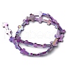 Natural Freshwater Shell Beads Strands SHEL-K006-02C-3