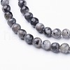 Natural Larvikite Beads Strands GSR3mmC128-3