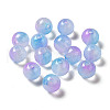 Transparent Acrylic Beads OACR-Z006-03A-1