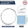Beebeecraft 925 Sterling Silver Wires STER-BBC0006-67C-2