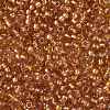 TOHO Round Seed Beads SEED-XTR08-1853-2