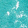 (Toho code TR-11-2104) TOHO Japanese Seed Beads X-SEED-F002-2mm-2104-2
