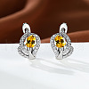 Brass Micro Pave Cubic Zirconia Hoop Earrings WG7D53C-11-1