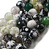 Faceted Natural Fire Crackle Agate Beads Strands G-F447-12mm-J05-2
