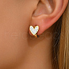 Stainless Steel Hoop Earrings ZP8478-2-2