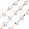 Brass Link Chains CHC-H109-01G-03-1