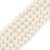 Round Shell Pearl Beads Strands BSHE-XCP0001-40B-2