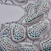 Preciosa® Crystal Hotfix Flatback Stones Y-PRC-HSS6-50540-4