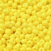 Baking Paint Glass Seed Beads X1-SEED-B001-02A-03-3