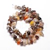 Natural Botswana Agate Chip Beads Strands X-G-E271-104-2